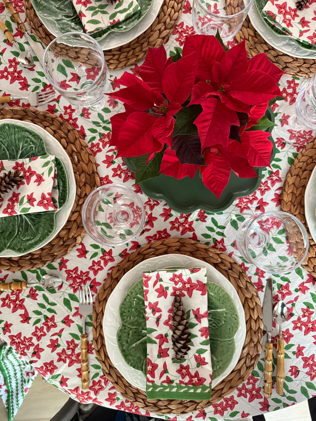 Fleur de Pomme de Terre - Red Runner